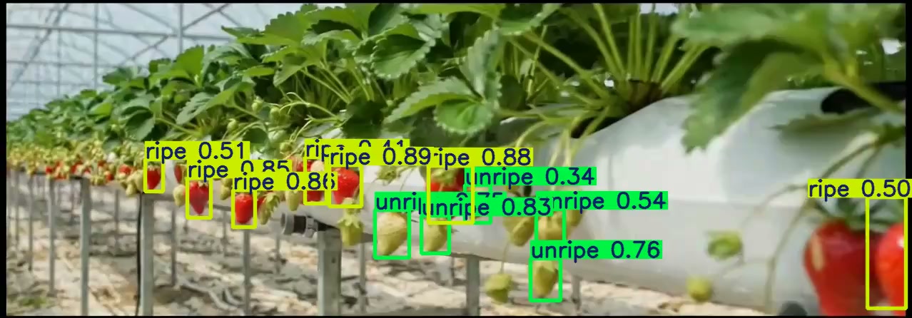 Right arm camera frame with berry detections